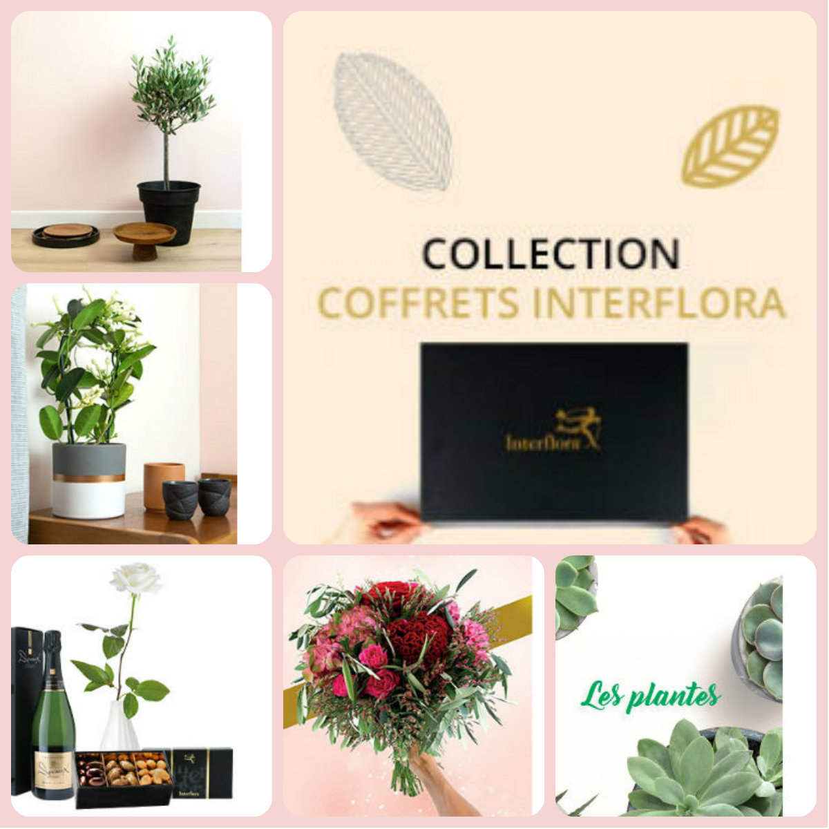 Cashback Code Promo Interflora En 2019 Noel 2019